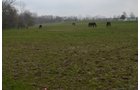 Property photo 14 - Amish Farm Auction - 7 Bedroom 2 Bathroom Home